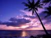 Tahitian Paradise